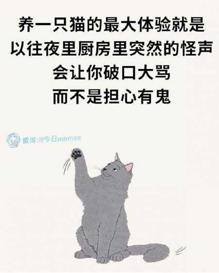 姐妹好大啊！可以摸摸吗 囧图 手感就像抓到棉花一样